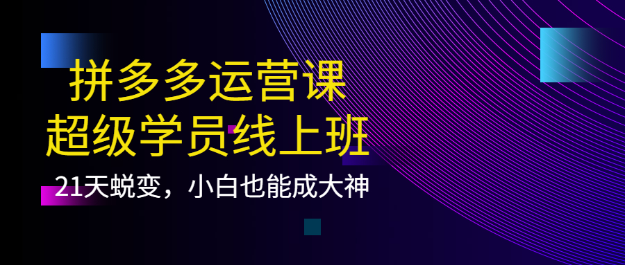 拼多多运营课：超级学员线上班，21天蜕变，小白也能成大神网创库-网创项目资源站-副业项目-创业项目-搞钱项目网创库