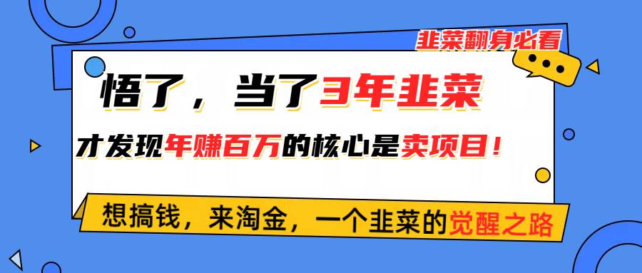 悟了，当了3年韭菜，才发现网赚圈年赚100万的核心是卖项目，含泪分享！网创库-网创项目资源站-副业项目-创业项目-搞钱项目网创库