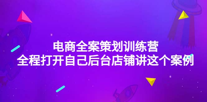电商全案策划训练营：全程打开自己后台店铺讲这个案例（9节课时）网创库-网创项目资源站-副业项目-创业项目-搞钱项目网创库