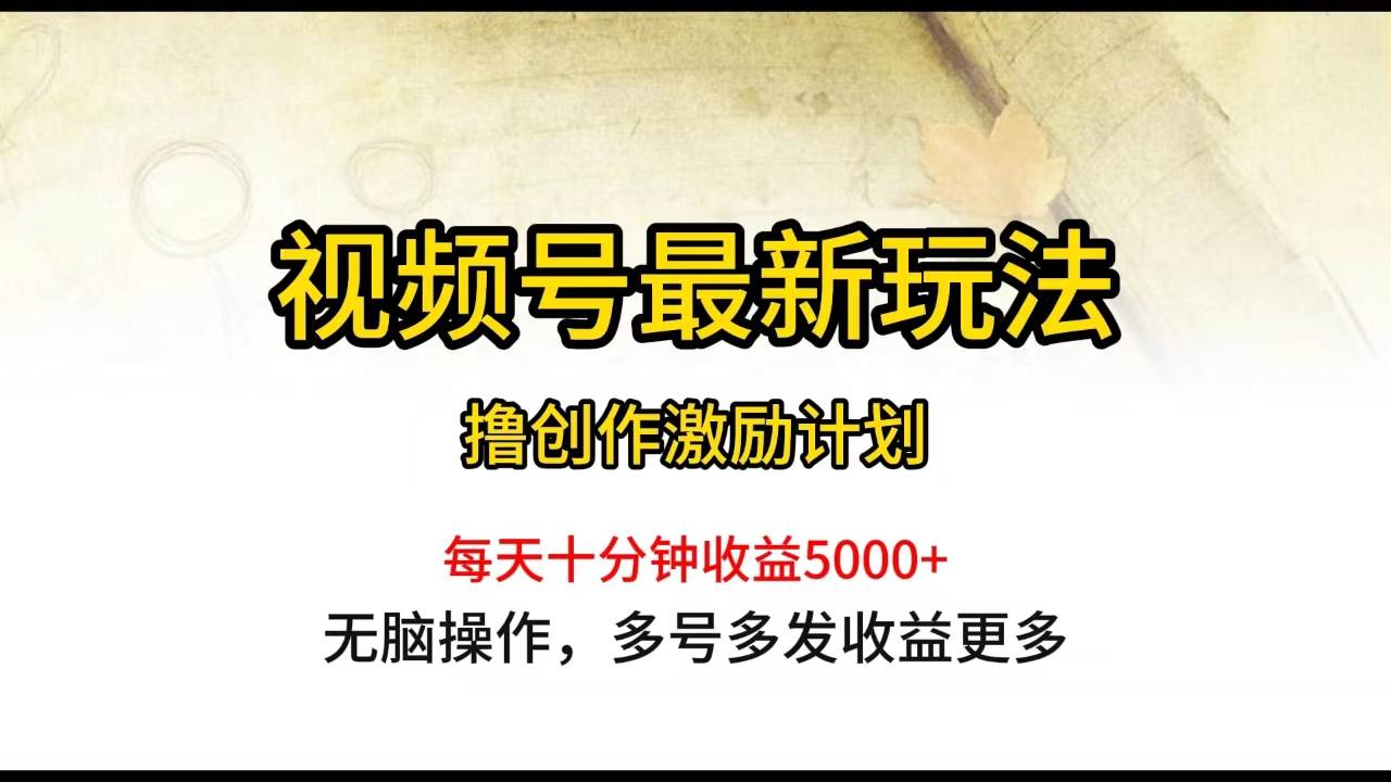 视频号最新玩法，每日一小时月入5000+网创库-网创项目资源站-副业项目-创业项目-搞钱项目网创库