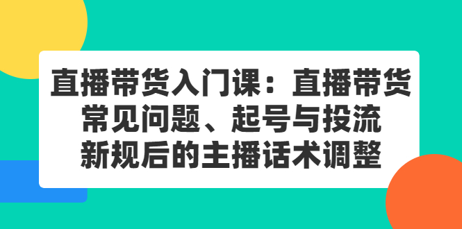 直播带货入门课：直播带货常见问题、起号与投流、新规后的主播话术调整网创库-网创项目资源站-副业项目-创业项目-搞钱项目网创库