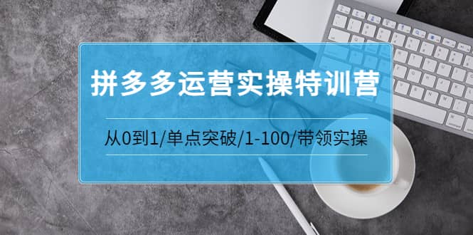 拼多多运营实操特训营：从0到1/单点突破/1-100/带领实操 价值2980元网创库-网创项目资源站-副业项目-创业项目-搞钱项目网创库
