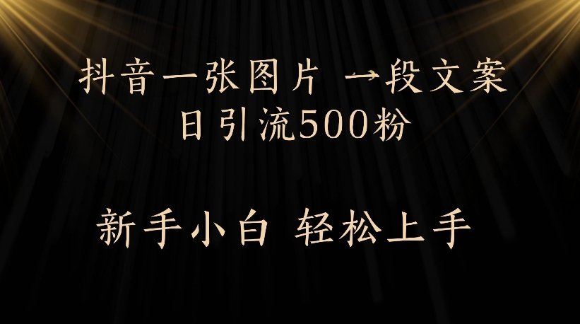 抖音一张图片，一段文案日引流500粉，新手小白 轻松上手网创库-网创项目资源站-副业项目-创业项目-搞钱项目网创库