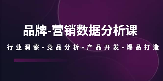 品牌-营销数据分析课，行业洞察-竞品分析-产品开发-爆品打造网创库-网创项目资源站-副业项目-创业项目-搞钱项目网创库