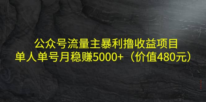 公众号流量主暴利撸收益项目，单人单号月稳赚5000+（价值480元）网创库-网创项目资源站-副业项目-创业项目-搞钱项目网创库