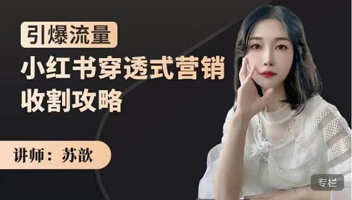 小红书穿透式营销收割攻略，引爆流量，助你玩转小红书网创库-网创项目资源站-副业项目-创业项目-搞钱项目网创库