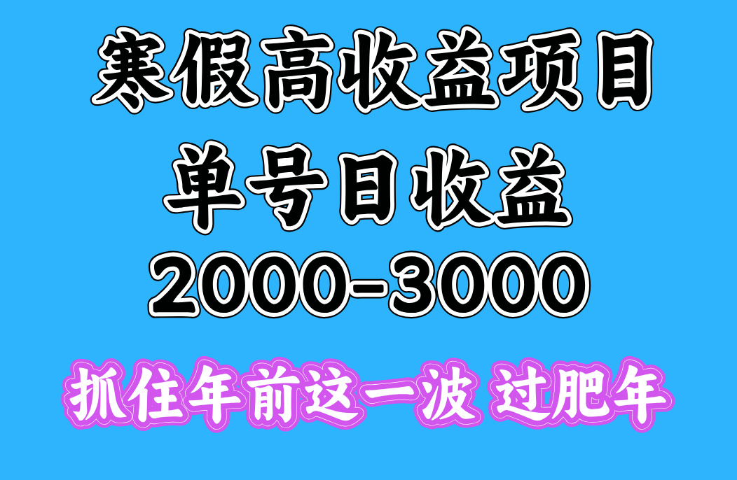 寒假期间一天收益2000-3000+，抓住年前这一波网创库-网创项目资源站-副业项目-创业项目-搞钱项目网创库