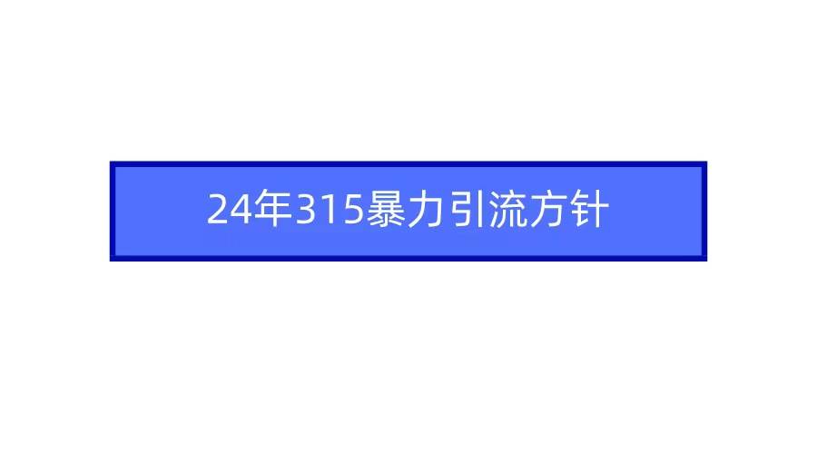 2024年315暴力引流方针网创库-网创项目资源站-副业项目-创业项目-搞钱项目网创库