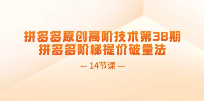拼多多原创高阶技术第38期，拼多多阶梯提价破量法（14节课）网创库-网创项目资源站-副业项目-创业项目-搞钱项目网创库