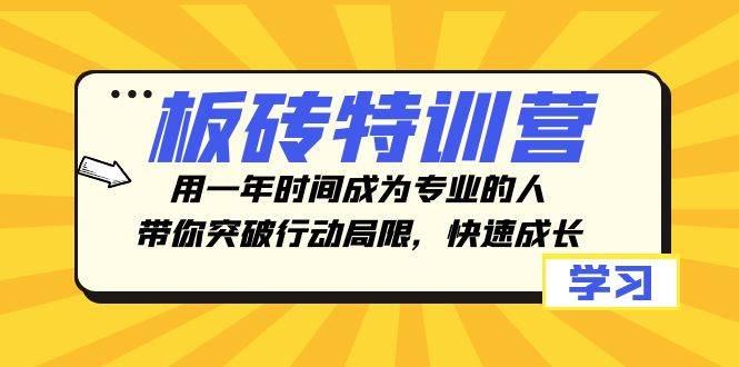 板砖特训营，用一年时间成为专业的人，带你突破行动局限，快速成长网创库-网创项目资源站-副业项目-创业项目-搞钱项目网创库