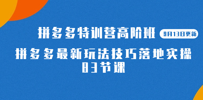 2023拼多多·特训营高阶班【9月13日更新】拼多多最新玩法技巧落地实操-83节网创库-网创项目资源站-副业项目-创业项目-搞钱项目网创库