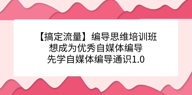 【搞定流量】编导思维培训班，想成为优秀自媒体编导先学自媒体编导通识1.0网创库-网创项目资源站-副业项目-创业项目-搞钱项目网创库
