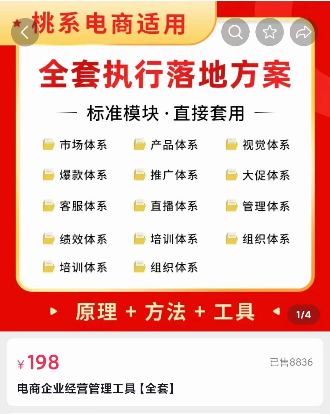 外面卖198·电商企业经营管理工具：全套执行落地方案 标准模块·直接套用网创库-网创项目资源站-副业项目-创业项目-搞钱项目网创库