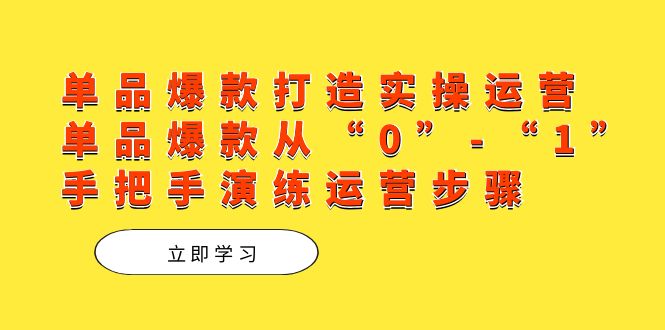单品爆款打造实操运营，单品爆款从“0”-“1”手把手演练运营步骤网创库-网创项目资源站-副业项目-创业项目-搞钱项目网创库