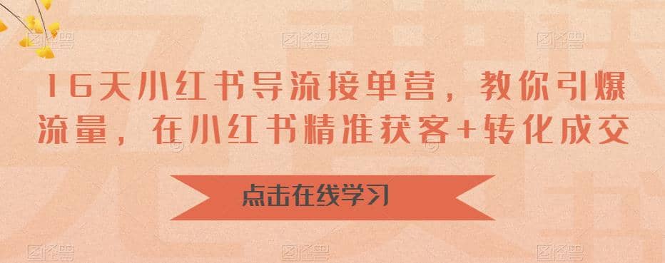 16天-小红书 导流接单营，教你引爆流量，在小红书精准获客+转化成交网创库-网创项目资源站-副业项目-创业项目-搞钱项目网创库