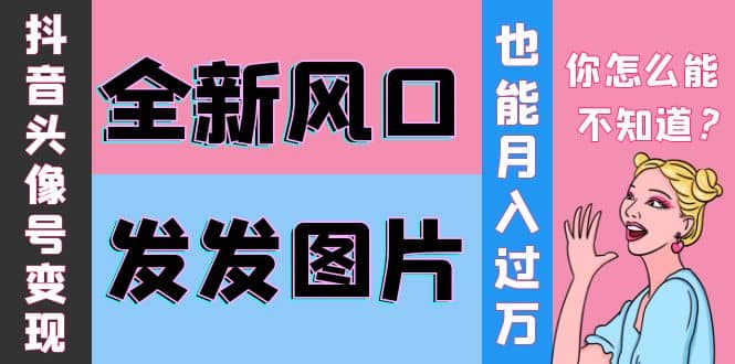 抖音头像号变现0基础教程网创库-网创项目资源站-副业项目-创业项目-搞钱项目网创库