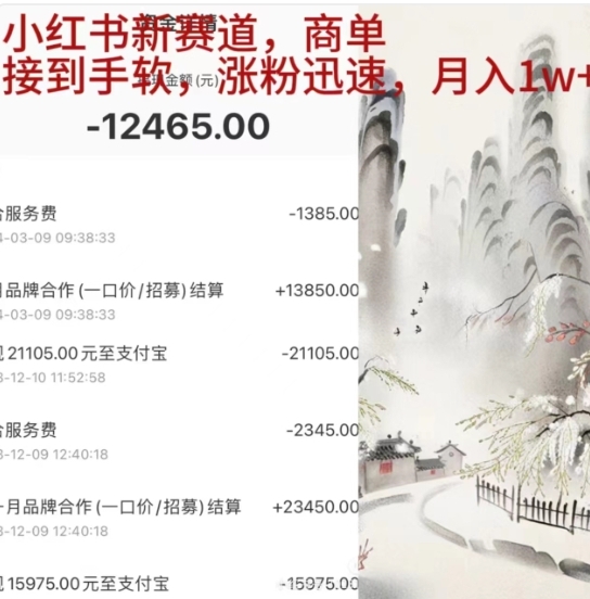 小红书新赛道，商单接到手软，涨粉迅速，一个月1w+网创库-网创项目资源站-副业项目-创业项目-搞钱项目网创库