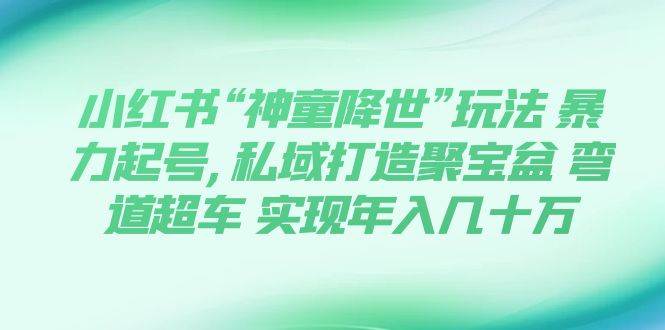 小红书“神童降世”玩法 暴力起号,私域打造聚宝盆 弯道超车 实现年入几十万网创库-网创项目资源站-副业项目-创业项目-搞钱项目网创库