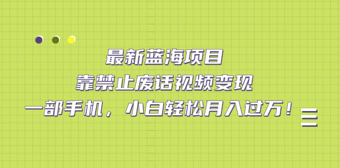最新蓝海项目，靠禁止废话视频变现，一部手机，小白轻松月入过万！网创库-网创项目资源站-副业项目-创业项目-搞钱项目网创库