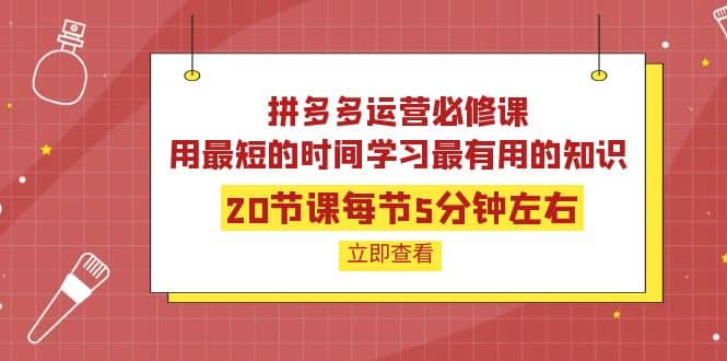 拼多多运营必修课：20节课每节5分钟左右，用最短的时间学习最有用的知识网创库-网创项目资源站-副业项目-创业项目-搞钱项目网创库