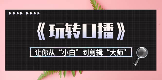 月营业额700万+大佬教您《玩转口播》让你从“小白”到剪辑“大师”网创库-网创项目资源站-副业项目-创业项目-搞钱项目网创库