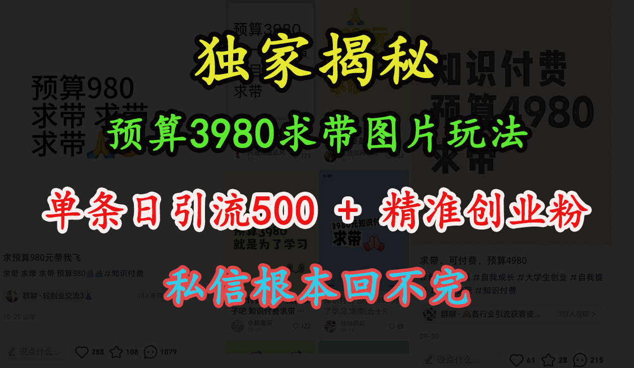 “小红书”预算3980求带 图片玩法，单条日引流500+精准创业粉，私信根本回不完网创库-网创项目资源站-副业项目-创业项目-搞钱项目网创库