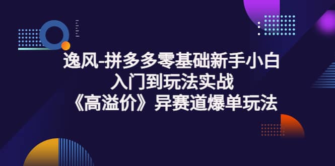 拼多多零基础新手小白入门到玩法实战《高溢价》异赛道爆单玩法实操课网创库-网创项目资源站-副业项目-创业项目-搞钱项目网创库