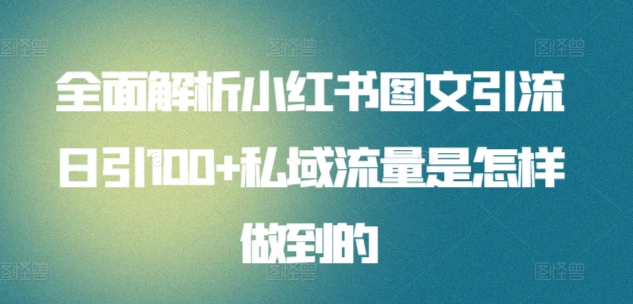 全面解析小红书图文引流日引100私域流量是怎样做到的网创库-网创项目资源站-副业项目-创业项目-搞钱项目网创库