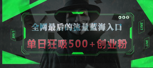 全网最后的流量蓝海入口，半小时引流50+创业粉，单日狂吸500+创业粉网创库-网创项目资源站-副业项目-创业项目-搞钱项目网创库