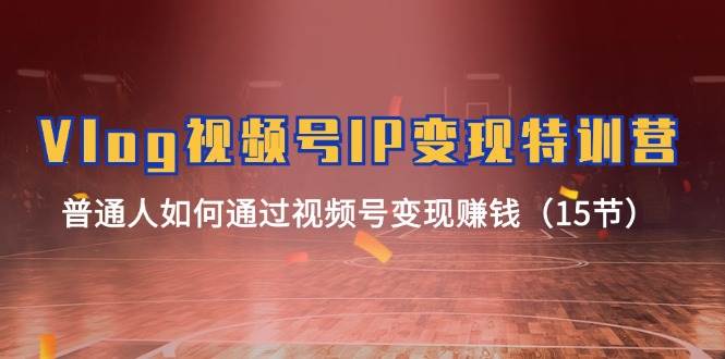 Vlog 视频号IP变现特训营，普通人如何通过视频号变现赚钱（15节）网创库-网创项目资源站-副业项目-创业项目-搞钱项目网创库