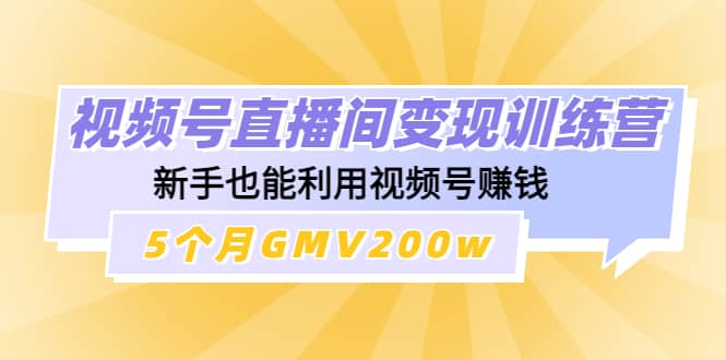 视频号直播间变现训练营网创库-网创项目资源站-副业项目-创业项目-搞钱项目网创库