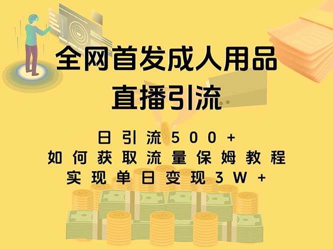 最新全网独创首发，成人用品直播引流获客暴力玩法，单日变现3w保姆级教程网创库-网创项目资源站-副业项目-创业项目-搞钱项目网创库