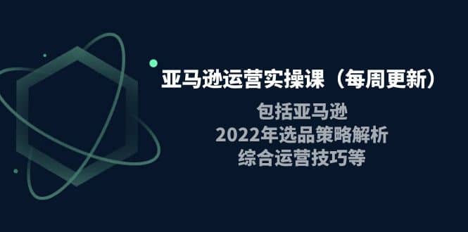 亚马逊运营实操课（每周更新）包括亚马逊2022选品策略解析，综合运营技巧等网创库-网创项目资源站-副业项目-创业项目-搞钱项目网创库