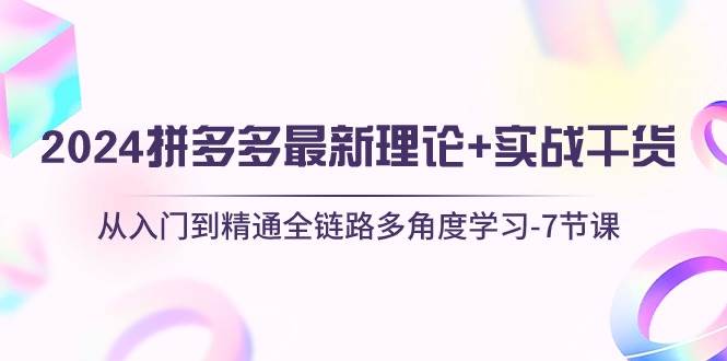 2024拼多多 最新理论+实战干货，从入门到精通全链路多角度学习-7节课网创库-网创项目资源站-副业项目-创业项目-搞钱项目网创库
