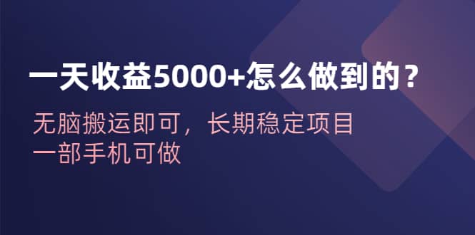 一天收益5000+怎么做到的？无脑搬运即可，长期稳定项目，一部手机可做网创库-网创项目资源站-副业项目-创业项目-搞钱项目网创库