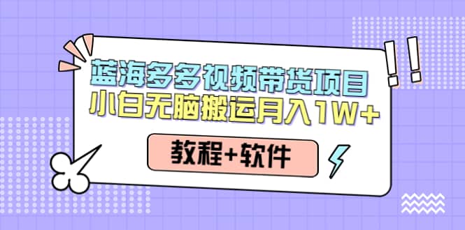人人都能操作的蓝海多多视频带货项目 小白无脑搬运（教程+软件）网创库-网创项目资源站-副业项目-创业项目-搞钱项目网创库