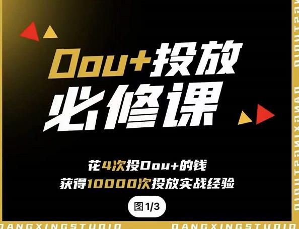 代同学DOU+投放训练营，用付费流量撬动大额自然流量，过得超额变现转化网创库-网创项目资源站-副业项目-创业项目-搞钱项目网创库