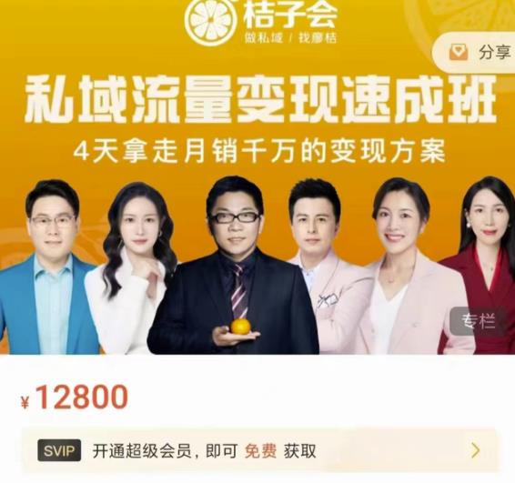 桔子会·私域流量变现速成班，4天拿走月销千万的变现方案 价值12800元网创库-网创项目资源站-副业项目-创业项目-搞钱项目网创库