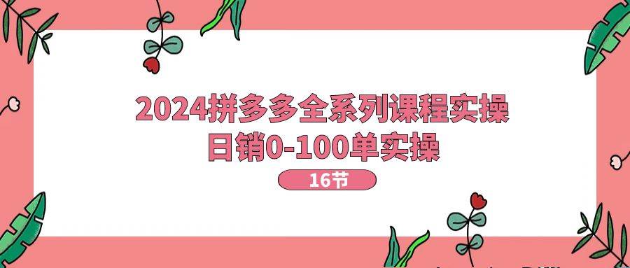 2024拼多多全系列课程实操，日销0-100单实操【16节课】网创库-网创项目资源站-副业项目-创业项目-搞钱项目网创库