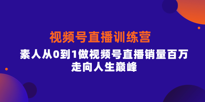 视频号直播训练营，素人从0到1做视频号直播销量百万，走向人生巅峰网创库-网创项目资源站-副业项目-创业项目-搞钱项目网创库