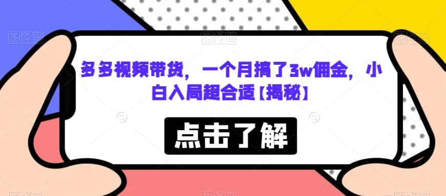 多多视频带货，一个月搞了3w佣金，小白入局超合适【揭秘】网创库-网创项目资源站-副业项目-创业项目-搞钱项目网创库