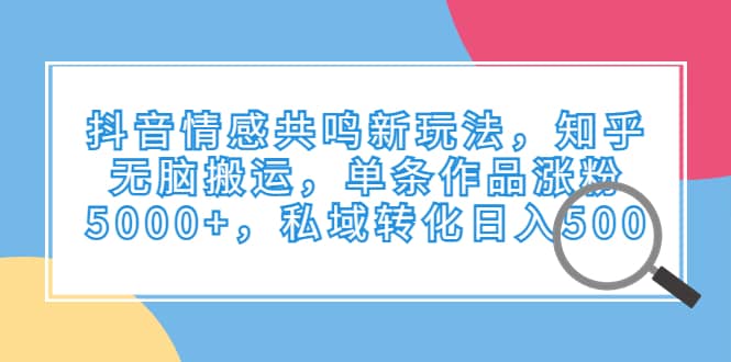 抖音情感共鸣新玩法，知乎无脑搬运，单条作品涨粉5000+，私域转化日入500网创库-网创项目资源站-副业项目-创业项目-搞钱项目网创库