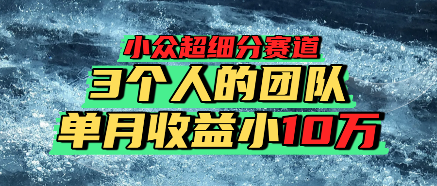 小众超细分赛道，一年百万利润的盘子！网创库-网创项目资源站-副业项目-创业项目-搞钱项目网创库