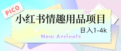 最新小红书情趣用品项目，日入1-4k网创库-网创项目资源站-副业项目-创业项目-搞钱项目网创库