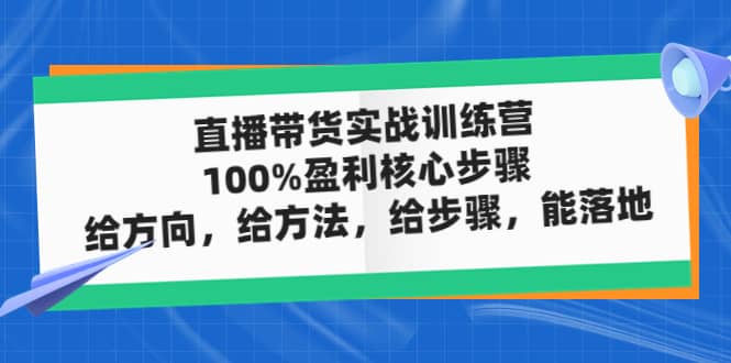 直播带货实战训练营：100%盈利核心步骤，给方向，给方法，给步骤，能落地网创库-网创项目资源站-副业项目-创业项目-搞钱项目网创库
