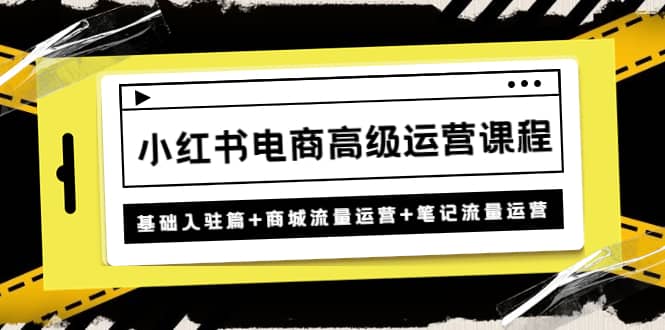 小红书电商高级运营课程：基础入驻篇+商城流量运营+笔记流量运营网创库-网创项目资源站-副业项目-创业项目-搞钱项目网创库