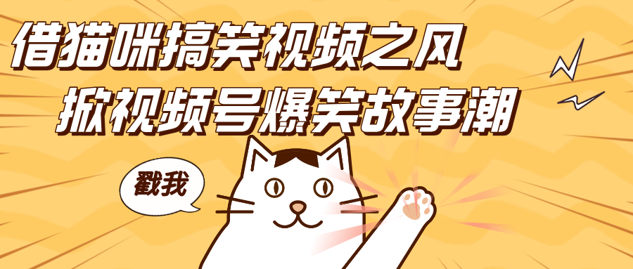 借猫咪搞笑视频之风，掀视频号爆笑故事潮，轻松日赚四位数，开启无门槛赚钱新体验！网创库-网创项目资源站-副业项目-创业项目-搞钱项目网创库