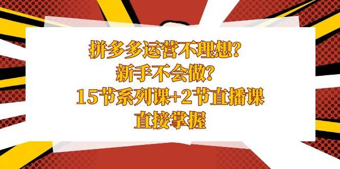 拼多多运营不理想？新手不会做？15节系列课+2节直播课，直接掌握网创库-网创项目资源站-副业项目-创业项目-搞钱项目网创库