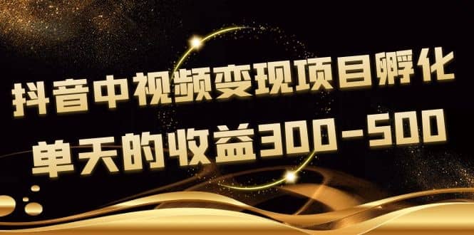 黄岛主《抖音中视频变现项目孵化》单天的收益300-500 操作简单粗暴网创库-网创项目资源站-副业项目-创业项目-搞钱项目网创库