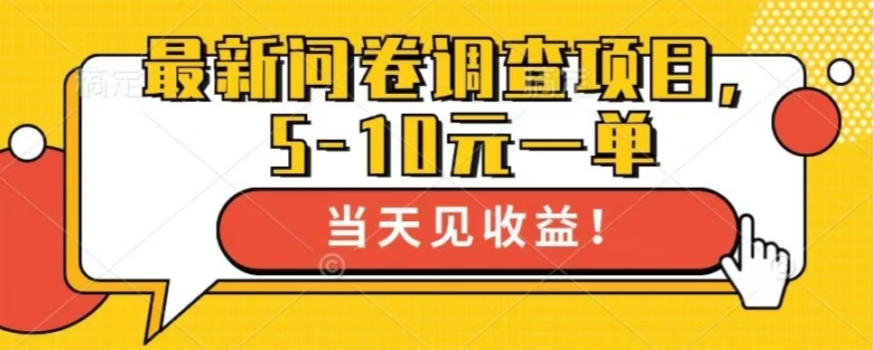 最新问卷调查项目，共12个平台，单日零撸100＋网创库-网创项目资源站-副业项目-创业项目-搞钱项目网创库